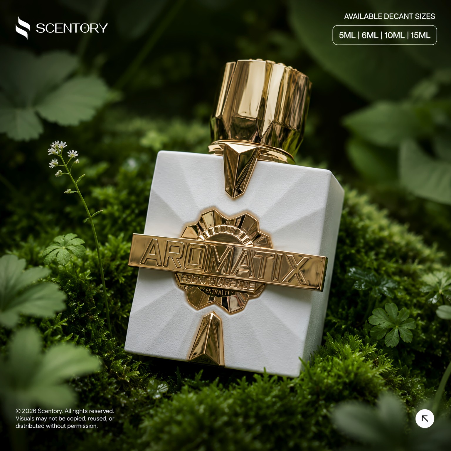 Aromatix Platine Blanc Extract perfume decant