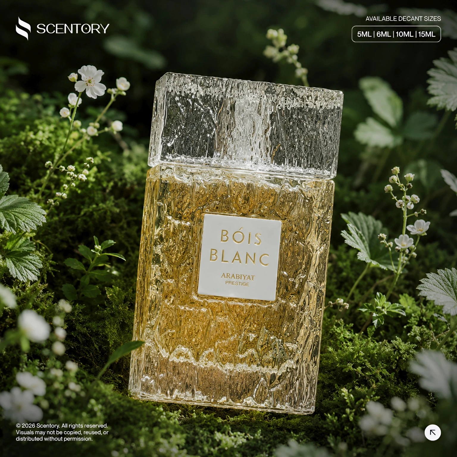 Bois Blanc by Arabiyat Prestige perfume decant